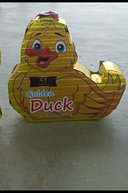 Duck